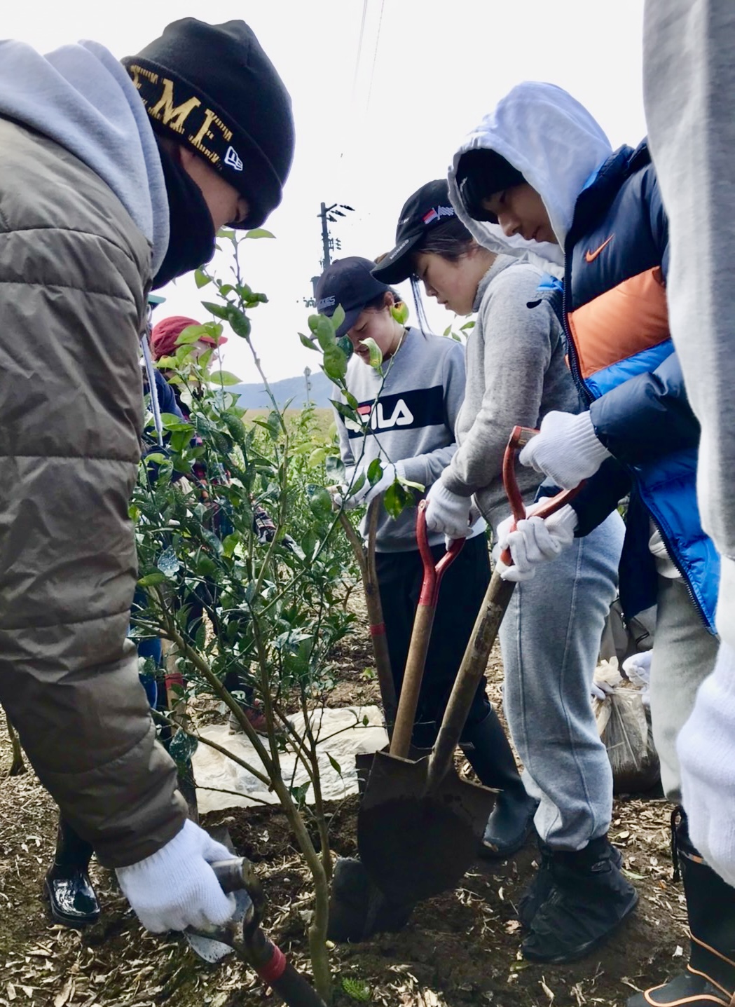 Volunteer activities