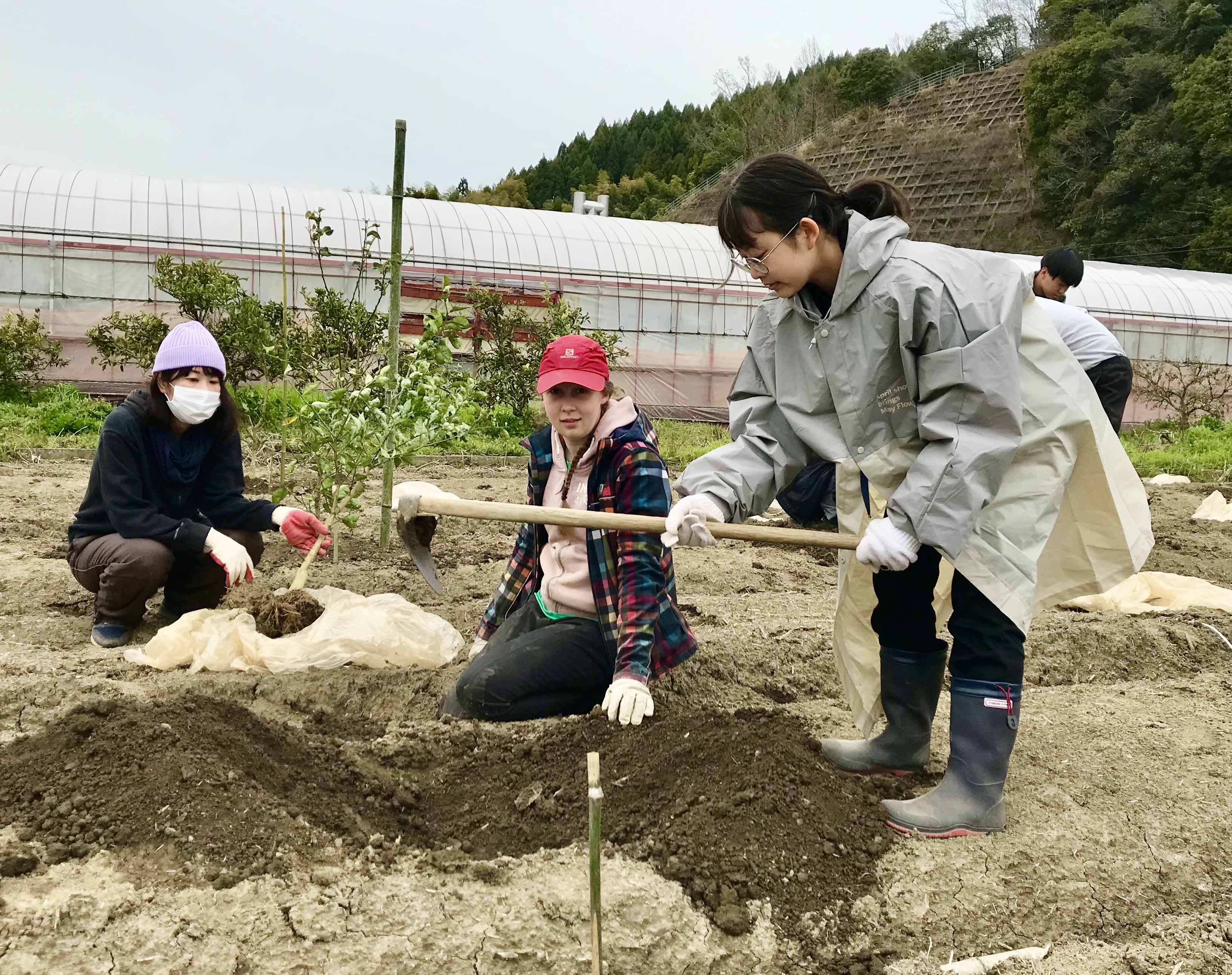Volunteer activities