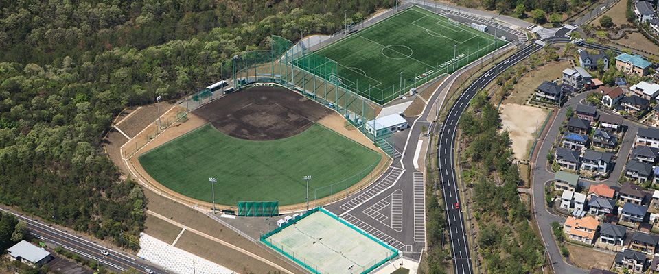 Ball Park & Soccer Field
